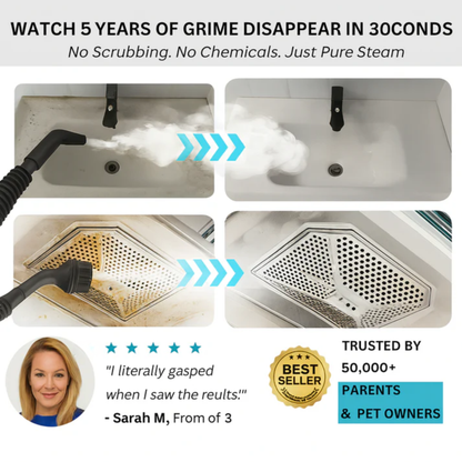 VaporCore Steam Cleaner