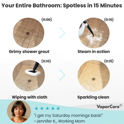 VaporCore Steam Cleaner